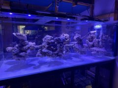 IMG_2747 (Średni).JPG