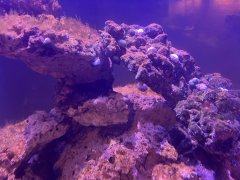 IMG_0067 (Średni).jpg