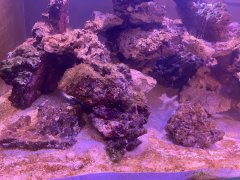 IMG_0066 (Średni).jpg