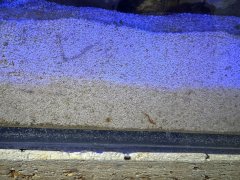 IMG_3271 (Średni).JPG