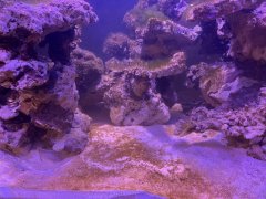 IMG_0069 (Średni).jpg