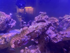 IMG_0072 (Średni).jpg