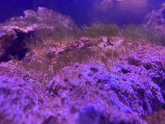 IMG_0071 (Średni).jpg