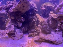 IMG_0070 (Średni).jpg