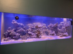 IMG_0073 (Średni).jpg