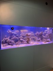 IMG_0074 (Średni).jpg