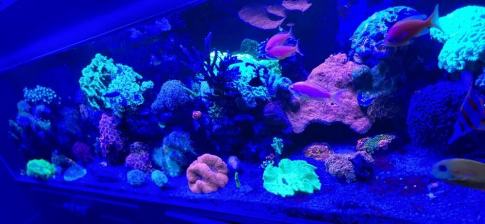 fot 2_Easy-Resize.com.jpg