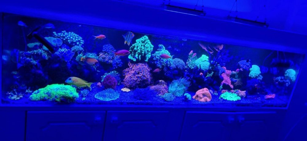 fot 1_Easy-Resize.com.jpg