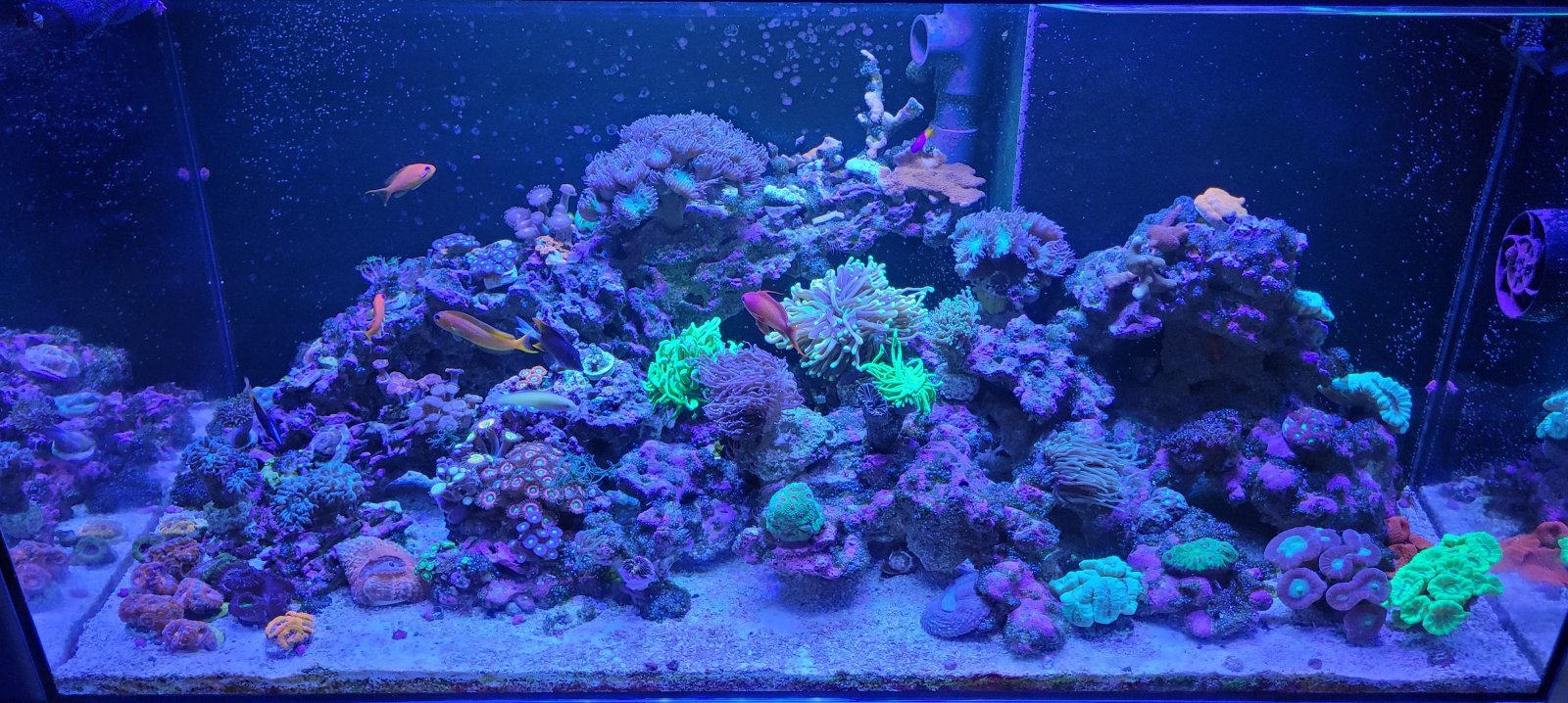 250l