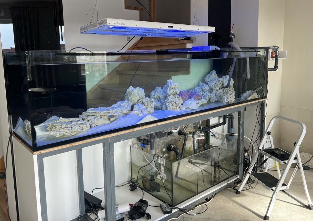 c8c494f4-75aa-46c4-999c-49f457f461b7_Easy-Resize.com (4).jpg