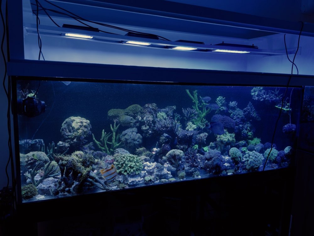 IMG_2788 2 (1) (1).jpg