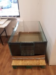 WhatsApp Image 2026-02-17 at 10.03.22.jpeg