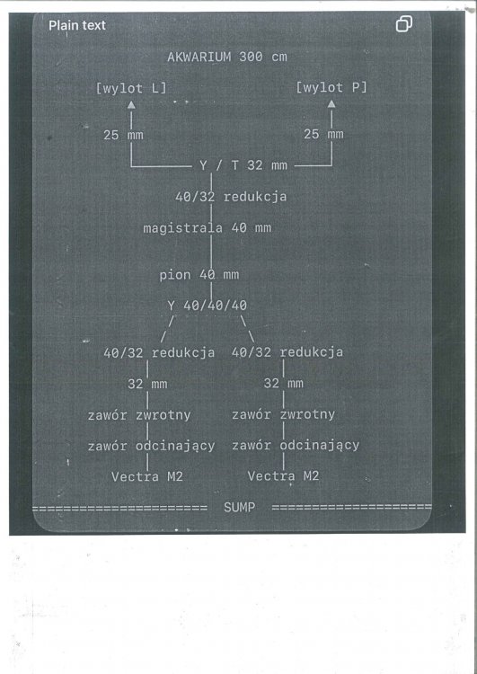 SCHEMAT BEAN ANIMAL.jpg