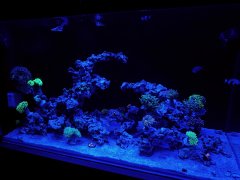 IMG_20260512_202725.jpg