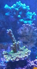 IMG_20260607_202450_HDR.jpg