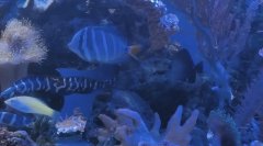 IMG_20260609_144738.jpg