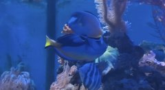 IMG_20260609_145012.jpg