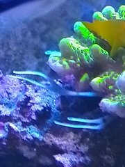 IMG_20260702_184432_HDR