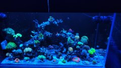 IMG_20260817_202354219.jpg
